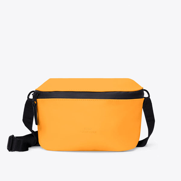 Amber / Large